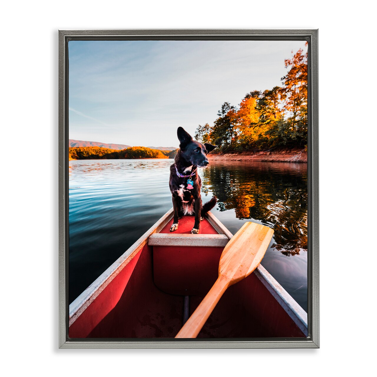 Stupell Industries Pup And Paddles Floating Frame, design by Jared Kreiss